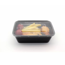 Standard Plastic Disposable Bento Box